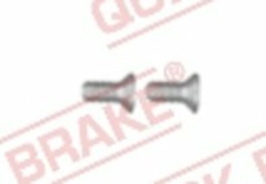 Šroub M6x1, délka 14 mm, na brzdové kotouče