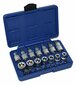 Hlavice TORX 1/2", nástrčné, zástrčné a bity, 23 dílů - ASTA
